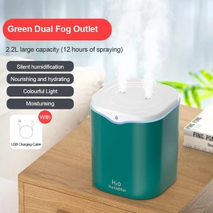 Double Air Humidifier with Spray — Humidifier, Leisury