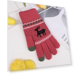 Double-Layered Thickened Velvet Winter Warm Gloves with Touchscreen — Gloves, Outdoor Boutique TOP