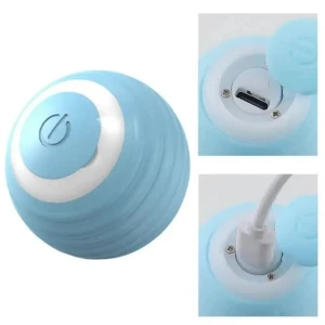 Interactive Cat Ball, DC-Home-2