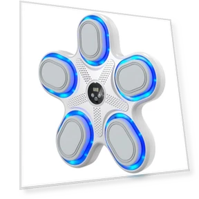 Smart Music Boxing Trainer — Boxing Training Gear, Cars Auto Home