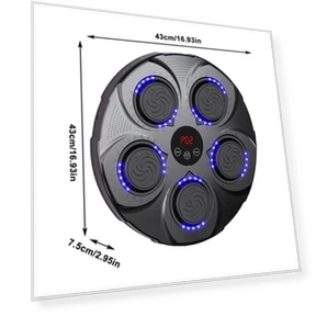 Smart Musical Boxing Target Trainer — Boxing Training Gear, Binchi Keji Travel