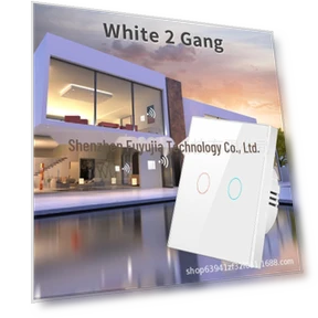 Smart RF433 European WiFi/Bluetooth Switch for Glass — Ceiling Fan Wall Controls, VantaGoods