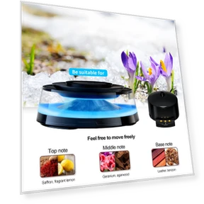 Car Aromatherapy Diffuser — Car Air Fresheners, Timeless Home