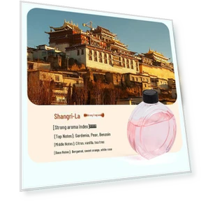 Digital Aromatherapy Lamp — Accessories, Perfect choice for your home