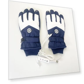 Electric Ski Gloves with Heating and Touch Screen — Gloves & Mittens, StrideBox