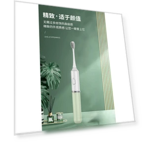 Electric Toothbrush with Automatic Charging — Traditional Toothbrushes, Binchi Health Technology