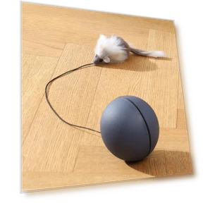 Interactive Smart Ball for Cats — Cat Playthings, Sunny Spaces