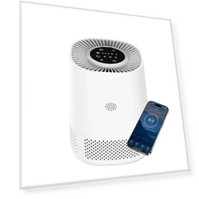 Small Air Purifier — Activated Carbon Air Purifiers, LIAESMART Home