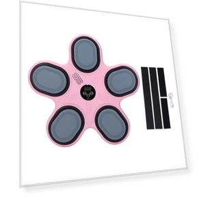 Smart Musical Boxing Trainer — Boxing Training Gear, Automobile and motorcycle supplies