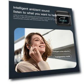 Wireless Headset — Headsets, ZuiyouPet1