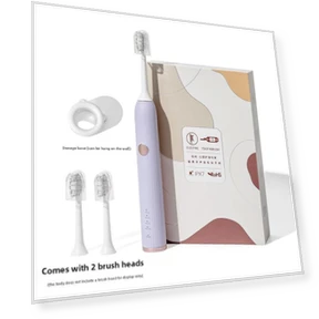 Electric Toothbrush Maglev Sonic — Electric Toothbrush Heads, Binchi Health Technology