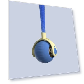 Interactive Cat Toy Ball — Cat Playthings, Wotypea