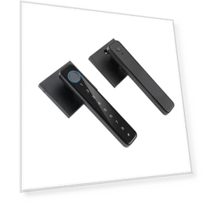 Smart Home Fingerprint Door Lock — Biometric Security, AE Selection