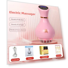 Smart Multifunctional Electric Meridian Brush — Back Relief Solutions, Crown Global