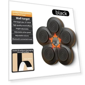 Smart Musical Boxing Trainer — Boxing Training Gear, HOME-Auto-001