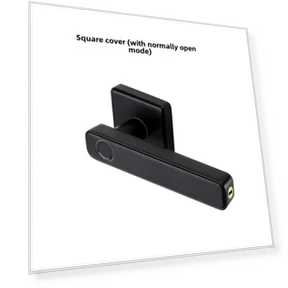 Smart Spherical Password Lock — Smart Home Security, StrideBox