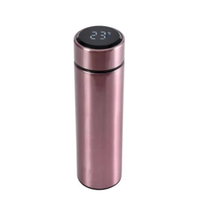 Smart Water Bottle with Temperature Display, Darling Home