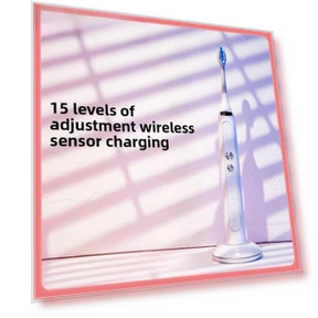 Soft Bristle Electric Toothbrush — Chargers, Binchi Health Technology