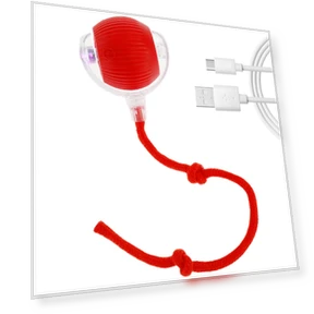 Interactive Toy Ball in Pouch — Balls, AE Selection