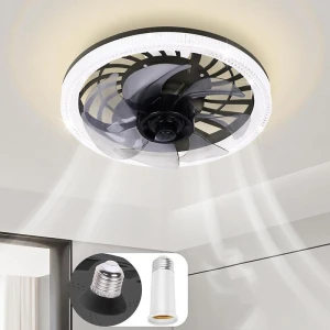 Ceiling Fan with Light, The Romantics