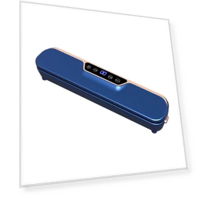 Multifunctional Wireless Vacuum Sealer — Vacuum Bags, the BAY