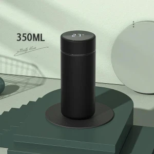 Smart Water Bottle with Temperature Display, Binchi