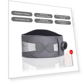 Smart Wireless Heating Belt — Thermal Therapy Solutions, BC Pet Supplies