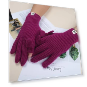 Touchscreen Gloves — Gloves, Yiran bag