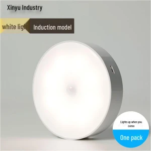 LED Night Light with Voice Control and Motion Sensor, AI Supermarket