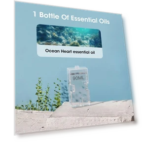 Automatic Touch Aromatherapy Device with Night Light — Diffusers, OFFICE-MALL