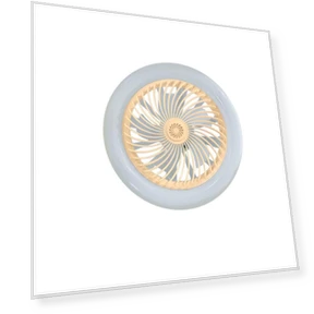 Ceiling Fan with Adjustable Brightness — Ceiling Fan Wall Controls, Rainbow Rain