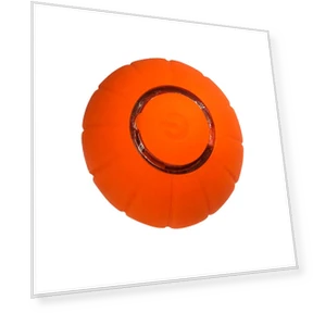 Interactive Smart Toy for Cats — Cat Playthings, Refreshing Home