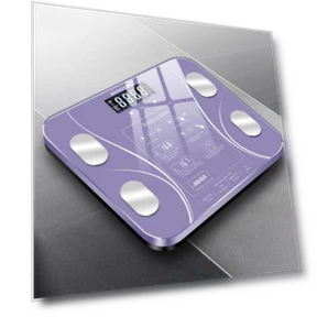 Smart Body Fat Scale — Weight Management Tools, Factory Discount Outlet