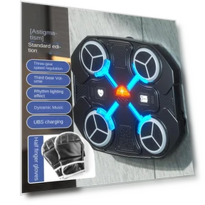 Smart Musical Boxing Target — Boxing Training Gear, Binchi Outdoor Equipment