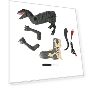 2 in 1 Remote Control Dinosaur Toy — Two-Way Radios for Kids, Neoglint