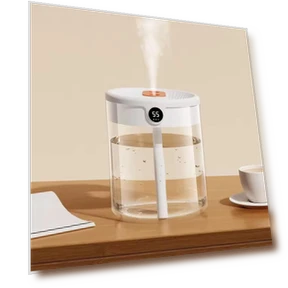 Double Spray Humidifier with USB Charging and Smart Night Light — Air Moisturizers, Xing Hui