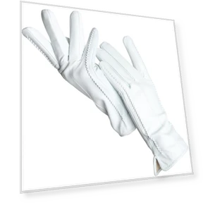 Fashion Women's Gloves — Arm Warmers, MA8BM