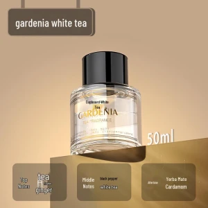 Smart Aroma Diffuser Starry Sky, the BAY