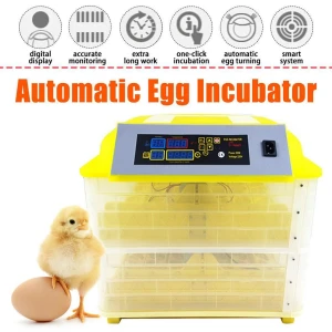 Egg Incubator, Pro DIY Tool
