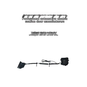 Electric Door Closer Smart Lock, GearUp AutoMoto