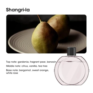 Mini Aroma Machine Smart Essential Oil Diffuser, KITCHEN-MALL