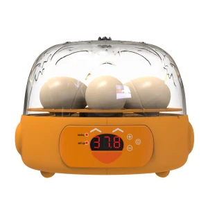 Smart Mini Incubator for Quail and Duck Eggs, FurryFriends Store