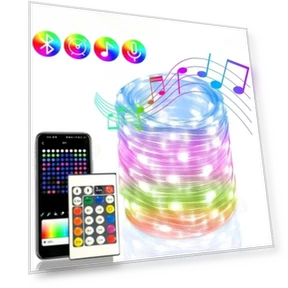 RGBIC Bluetooth Smart LED Fairy Lights — String Lights, LIUXING Fire Home Decoration