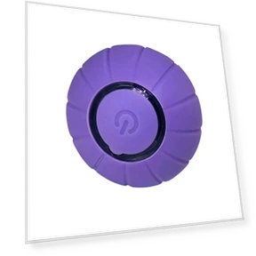 Interactive Smart Toy for Cats — Cat Playthings, Serene Homes