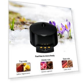 Smart Car Aromatherapy Diffuser — Car Air Fresheners, Auto Home Solutions