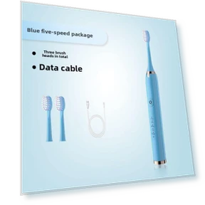 Smart Soft Electric Toothbrush — Electric Toothbrush Heads, Binchi Health Technology