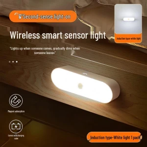 Rechargeable Smart Night Light with Motion Sensor, the BAY