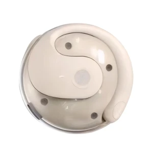 AI Translation Earbuds — Translator Device