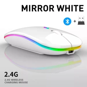 Dual-Mode Bluetooth Mouse with Charging, Silent PC, Laptop, Office Gaming, LED Wireless Mouse, Faylisvow