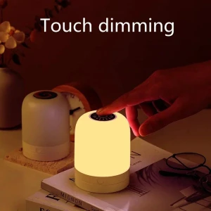 LED Night Light with Wireless Charging, Binchi Lighting Appliances